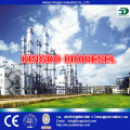Green fuel biofuel small biodiesel processor biodiesel equipment
